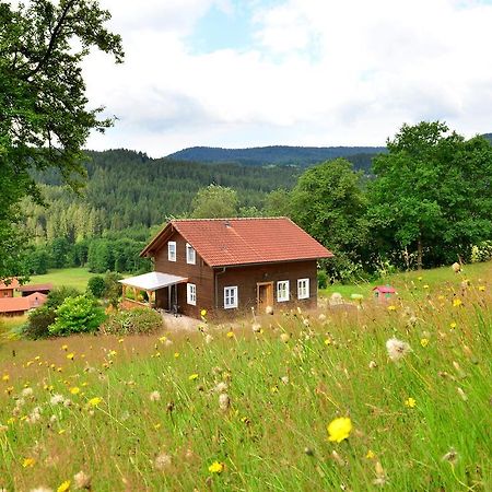 Comfort Apartment With Balcony In The Beautiful Bavarian Forest ドラクセルスリート エクステリア 写真