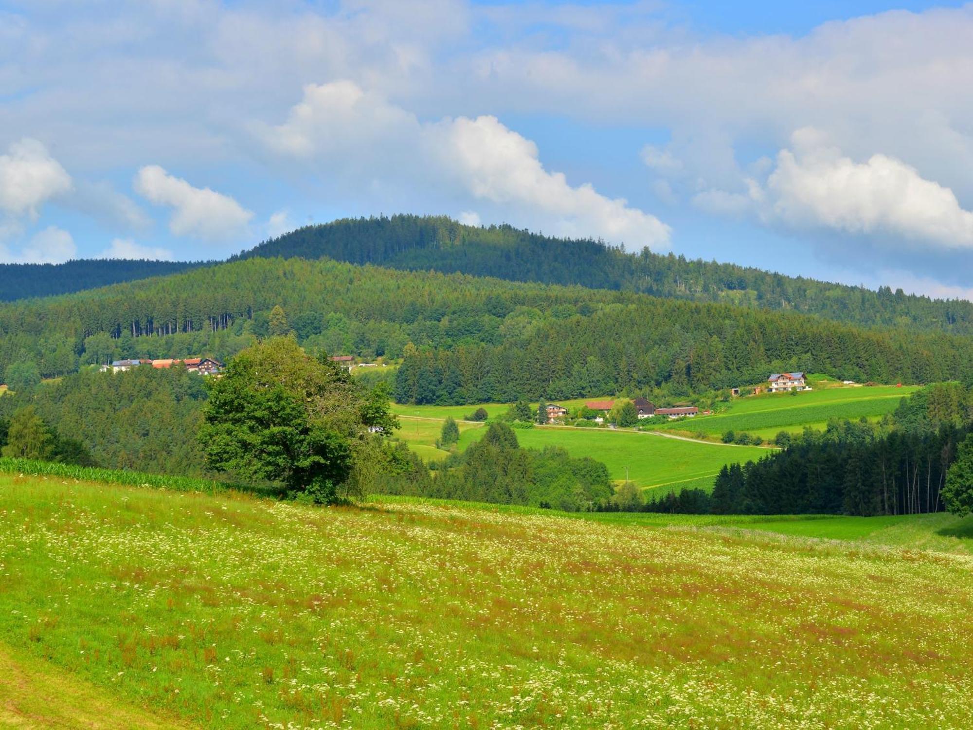 Comfort Apartment With Balcony In The Beautiful Bavarian Forest ドラクセルスリート エクステリア 写真