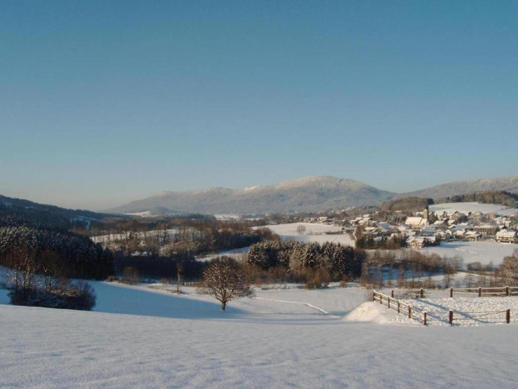 Comfort Apartment With Balcony In The Beautiful Bavarian Forest ドラクセルスリート エクステリア 写真