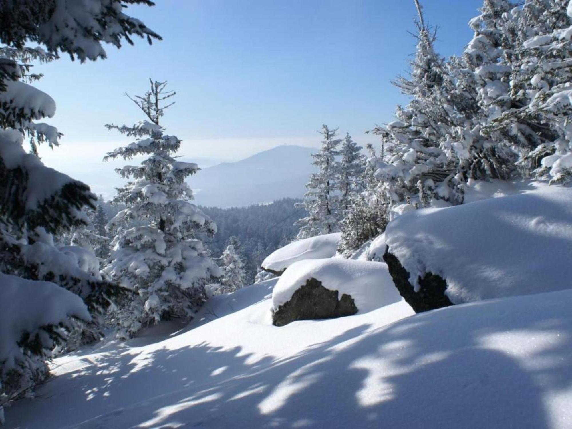 Comfort Apartment With Balcony In The Beautiful Bavarian Forest ドラクセルスリート エクステリア 写真