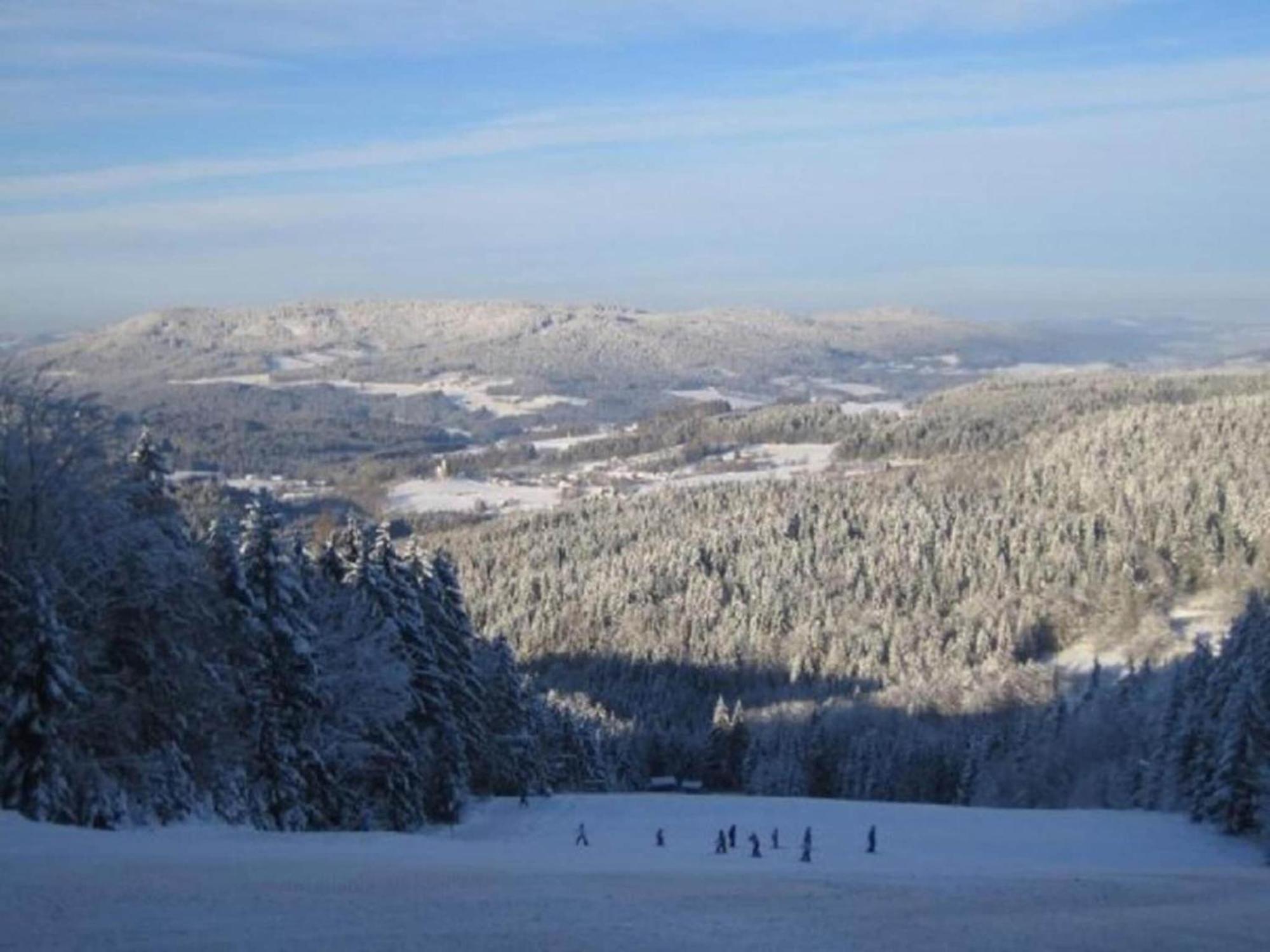Comfort Apartment With Balcony In The Beautiful Bavarian Forest ドラクセルスリート エクステリア 写真